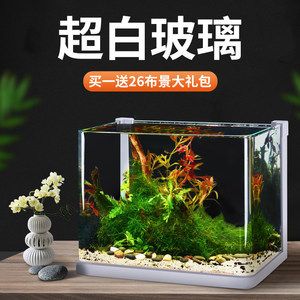 斗魚(yú)魚(yú)缸造景圖：斗魚(yú)缸造景教程和視頻 魚(yú)缸百科 第4張