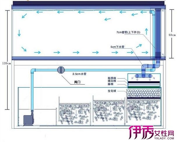 成品底濾魚缸工作原理：底濾魚缸的工作原理 魚缸百科 第1張