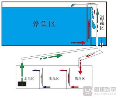 成品底濾魚缸工作原理：底濾魚缸的工作原理 魚缸百科 第3張