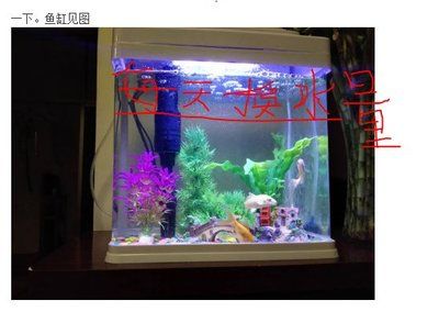 大魚缸金魚多久換一次水合適：養(yǎng)金魚需要定期換水的頻率取決于多個(gè)因素，換水的頻率取決于多個(gè)因素 魚缸百科 第4張