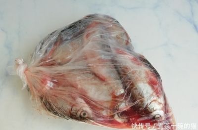 冷凍過(guò)的小魚(yú)可以喂龍魚(yú)嗎：冷凍過(guò)的小魚(yú)可以喂給龍魚(yú)嗎 龍魚(yú)百科 第1張