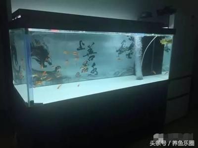 拆魚缸用什么線：如何拆卸魚缸？ 魚缸百科 第1張