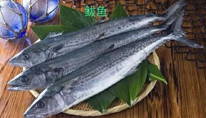 龍魚腹下黑色斑點：龍魚腹下黑色斑點是怎么回事？