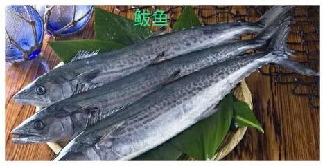 龍魚腹下黑色斑點：龍魚腹下黑色斑點是怎么回事？