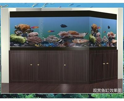 大型魚缸過濾器材怎么清洗：清洗大型魚缸過濾器材的優(yōu)缺點和優(yōu)缺點和缺點和缺點 魚缸百科 第4張