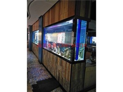 大型定做魚缸：大型魚缸定做的種類和材料 魚缸百科 第1張