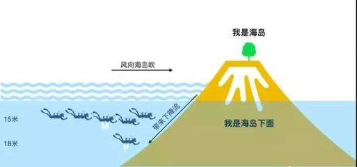 魟魚水流大適應(yīng)嗎：魟魚水流大適應(yīng)嗎[需手動(dòng)填充][需手動(dòng)填充]魚水流大適應(yīng)嗎 魟魚百科 第1張