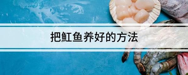 15公分魟魚每天吃多少：15公分大小的魟魚每天需要吃多少？ 魟魚百科 第1張