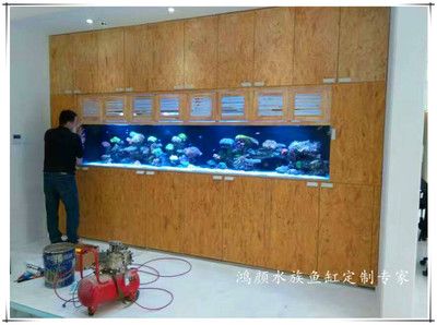 定做魚缸：定做魚缸需要注意哪些問題？