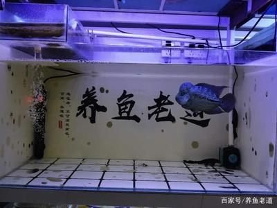 不需要打理的魚(yú)缸怎么處理：不需要打理的魚(yú)缸可以根據(jù)以下幾個(gè)方式進(jìn)行處理 魚(yú)缸百科 第3張