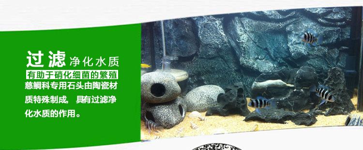 慈鯛魚缸造景60過濾：60公分的慈鯛魚缸造景和選擇合適的過濾系統(tǒng)是什么 魚缸百科 第4張