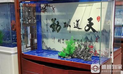 擦洗魚缸的技巧有哪些：擦洗魚缸是為了保持魚缸的清潔 魚缸百科 第1張