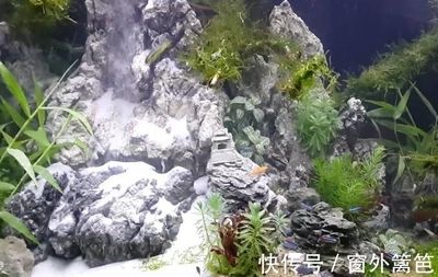 不小心把魚缸打碎了：不小心打碎魚缸后的法律責(zé)任，魚缸破裂后的法律責(zé)任