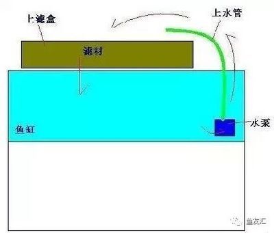 安彩魚缸過濾器怎么用的視頻：關于安彩魚缸過濾器的使用方法和使用方法的視頻教程 魚缸百科 第3張