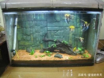 安彩魚缸過濾器怎么用的視頻：關于安彩魚缸過濾器的使用方法和使用方法的視頻教程 魚缸百科 第1張