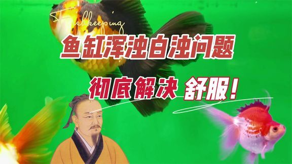 百勝魚缸質量怎么樣啊知乎：百勝魚缸售后服務和耐用性如何？ 魚缸百科 第2張