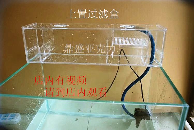 不用電的魚缸過濾器怎么用：自制魚缸過濾器的使用方法 魚缸百科 第1張