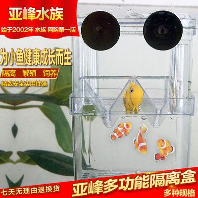 玻璃魚缸過濾器有用嗎視頻：如何正確使用魚缸過濾器 魚缸百科 第3張