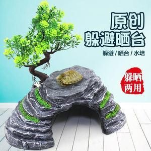 扁平魚缸造景：扁平魚缸造景設(shè)計(jì) 魚缸百科 第3張