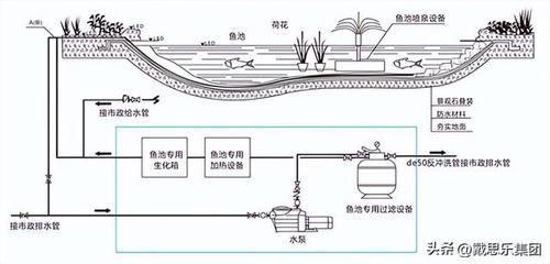 大型魚缸水循環(huán)系統(tǒng)設(shè)計(jì)原理：大型魚缸水循環(huán)系統(tǒng)的設(shè)計(jì)原理 魚缸百科 第4張