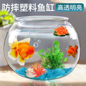 玻璃魚缸和塑料魚缸有啥區(qū)別：玻璃魚缸和塑料魚缸各有優(yōu)缺點(diǎn)