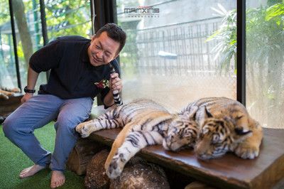 泰北虎和泰虎的區(qū)別：泰北虎和泰虎是兩種不同的魚類，它們在形態(tài)特征、飼養(yǎng)方法和生活習(xí)性上都有所區(qū)別 虎魚百科 第1張