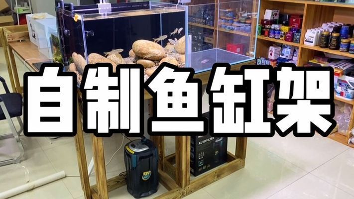 鍍鋅管做魚缸架子可以嗎：鍍鋅管可以用來做魚缸架子嗎？ 魚缸百科 第1張