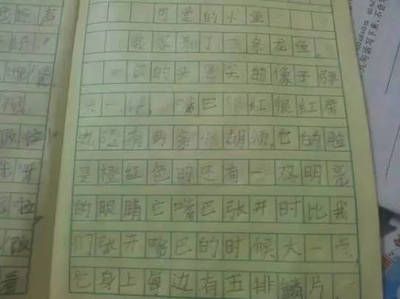 描寫龍魚的作文450字三年級：金龍魚價格高達數(shù)千元，看起來非常威武，真是讓人驚嘆不已 龍魚百科 第1張