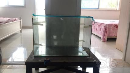 玻璃能做魚缸嗎：不同類型的玻璃適合作為魚缸材料