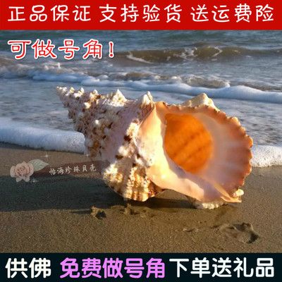 本人轉(zhuǎn)讓二手魚缸怎么辦：如何轉(zhuǎn)讓二手魚缸？