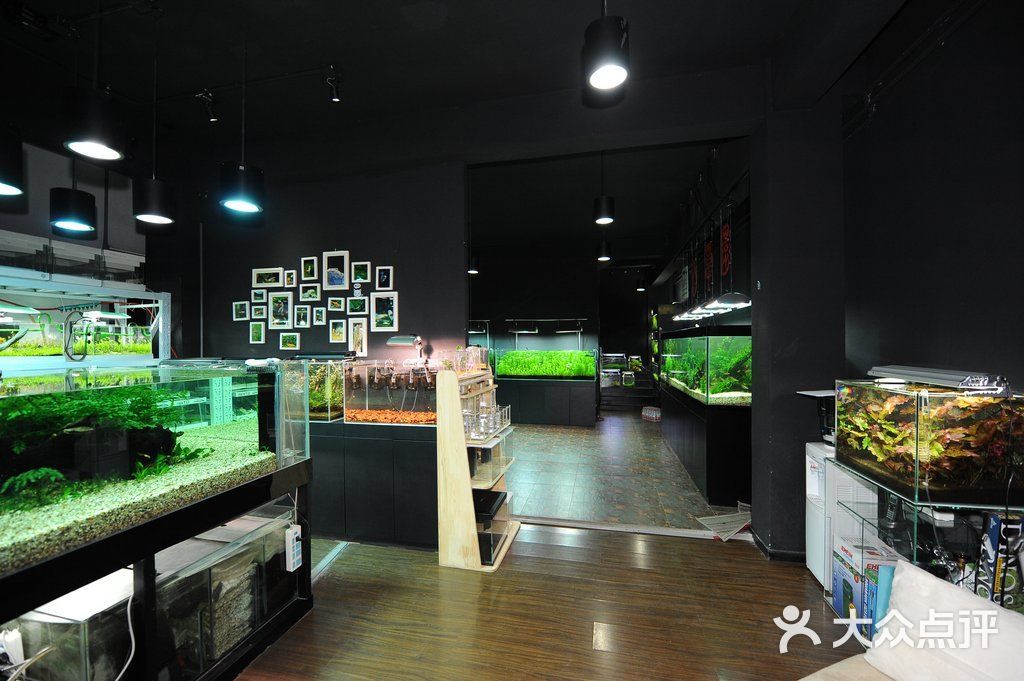 單縣哪里有賣魚缸的店子?。簡慰h魚多多漁具店 魚缸百科 第2張