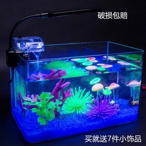 除了魚缸還有什么裝飾：如何選擇魚缸裝飾品？ 魚缸百科 第1張