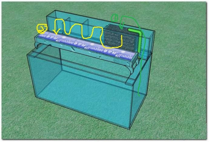 大桶水做魚缸過濾器：diy魚缸過濾器的種類和工作原理 魚缸百科 第4張