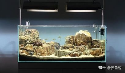 超白浮法玻璃魚缸：超白浮法玻璃魚缸的優(yōu)勢 魚缸百科 第2張