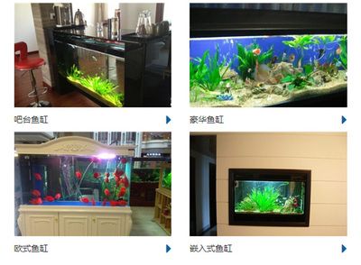 成品魚缸上蓋如何拆除視頻：一體魚缸上蓋如何拆除 魚缸百科 第3張