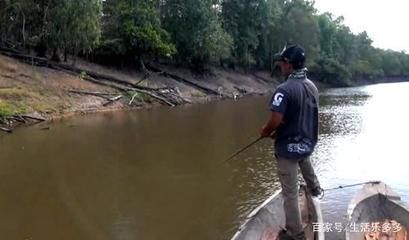 金龍魚用什么釣在哪里釣：《天天釣魚》釣金龍魚的方法和地點可能會有所不同