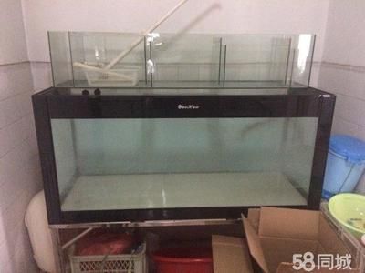 180寬60魚缸裝多少水：魚缸凈容量可以裝大約48.06升的水，實(shí)際可能會(huì)有所不同 魚缸百科 第2張