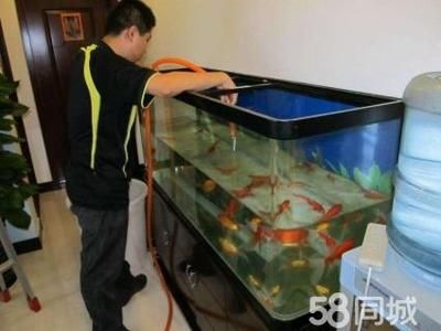 大型魚缸清洗視頻播放：如何清洗大型魚缸 魚缸百科 第4張