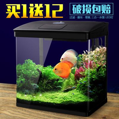 愛麗兒魚缸：快速訪問,主營:生態(tài)魚缸、飼料、漁具、觀賞魚器皿 魚缸百科 第1張