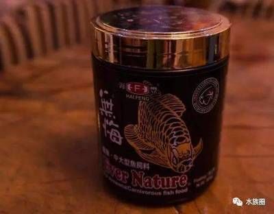 龍魚訓食顆粒飼料有哪些好處和壞處：龍魚喂食顆粒飼料有哪些好處和壞處