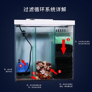 玻璃魚缸開裂漏水怎么修復視頻：玻璃魚缸開裂漏水怎么辦