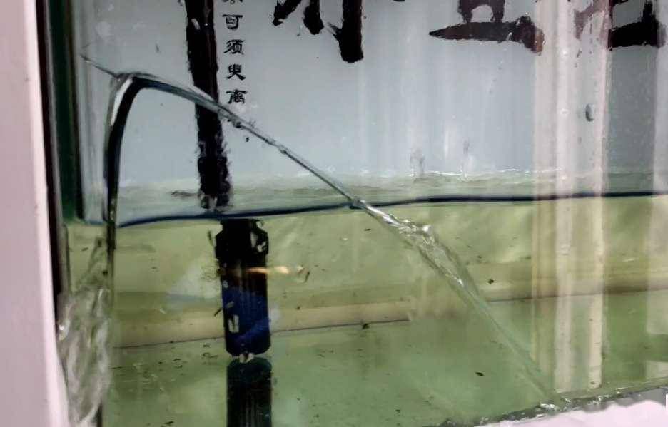 玻璃魚缸開裂漏水怎么修復視頻：玻璃魚缸開裂漏水怎么辦