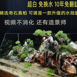 成品魚缸改水陸缸怎么改：成品魚缸改水陸缸步驟 魚缸百科 第3張