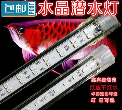 龍魚紅燈和白燈怎么擺放：龍魚紅燈和白燈怎么擺放龍魚紅燈和白燈的擺放建議