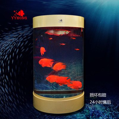 半圓魚缸風(fēng)水好嗎：半圓形魚缸在風(fēng)水上有什么好處？ 魚缸百科 第1張