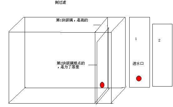 玻璃魚(yú)缸制作圖紙：根據(jù)搜索結(jié)果整理的玻璃魚(yú)缸制作的一些關(guān)鍵步驟和注意事項(xiàng) 魚(yú)缸百科 第4張