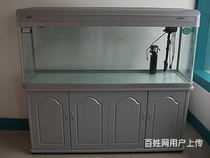 搬家魚(yú)缸怎么處理：搬家魚(yú)缸的處理方式 魚(yú)缸百科 第2張