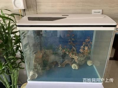 搬家魚(yú)缸怎么處理：搬家魚(yú)缸的處理方式 魚(yú)缸百科 第1張