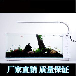 leo魚缸是什么牌子的魚：leo魚缸怎么樣 魚缸百科 第4張