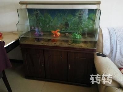 不能送魚缸什么意思呀：魚缸送人的寓意和風(fēng)水講究，魚缸送人需要注意一些事項(xiàng) 魚缸百科 第1張